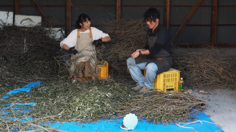 【Cargo Ship】小豆島オリーブ帆布 シリーズ
