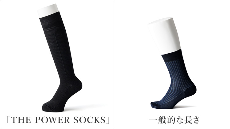 【CENTENA】THE POWER SOCKS