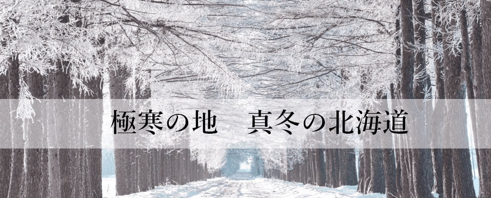 【CENTENA】北海道ダウンベスト