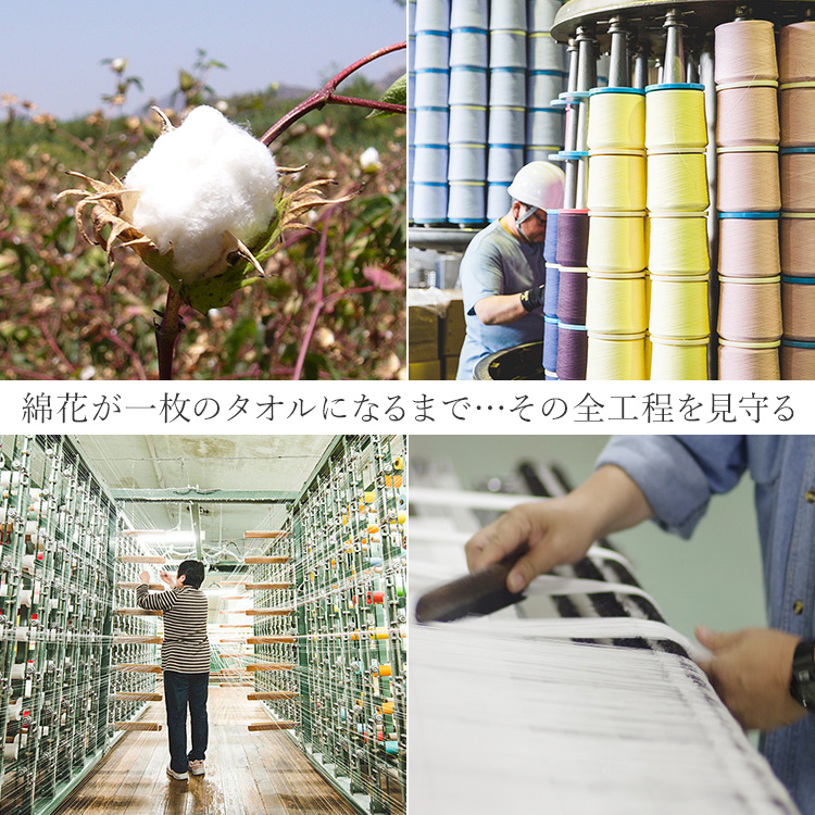【CENTENA】今治スタイリッシュハーフタオルハンカチ