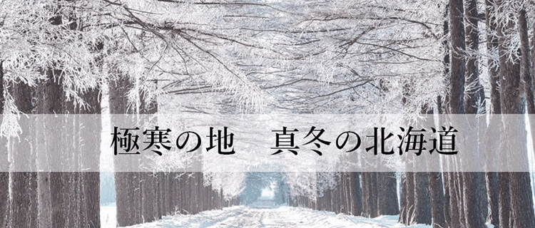 【CENTENA】北海道ダウン・アーバンベスト