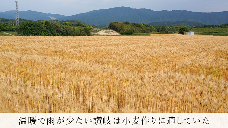 【丸高製帽所】カンカン帽