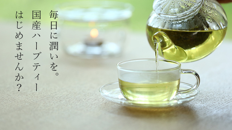 【中村園】ティーバッグセット