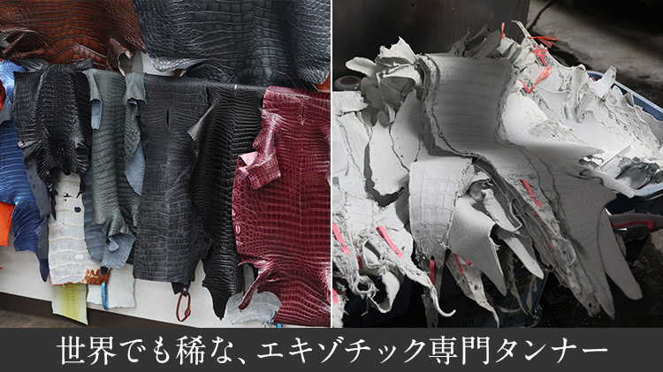 【山本製鞄】ポロサスクロコダイル ラウンドファスナー長財布