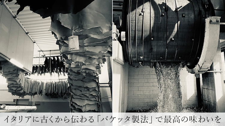 【carte】Partire 二つ折りウォレット