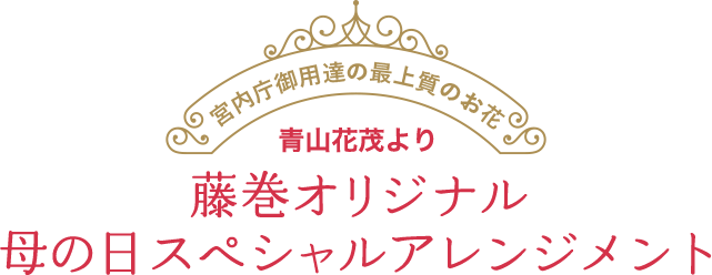 藤巻百貨店の母の日プレゼント 藤巻百貨店