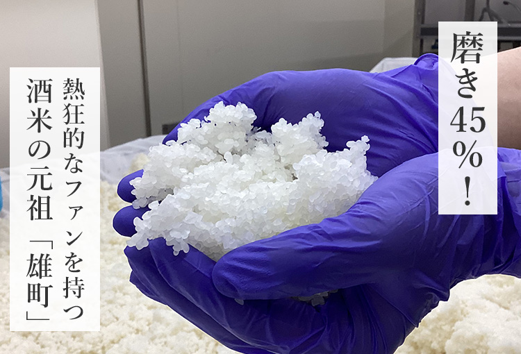 【酔鯨酒造】純米大吟醸 IZA