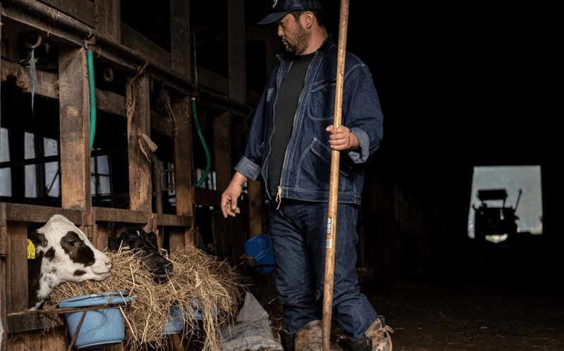 オイカワデニム DEER HAIR スタジャン