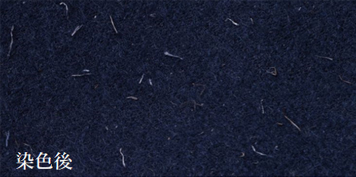 オイカワデニム DEER HAIR スタジャン