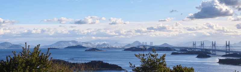 新商品開発プロジェクトの詳細