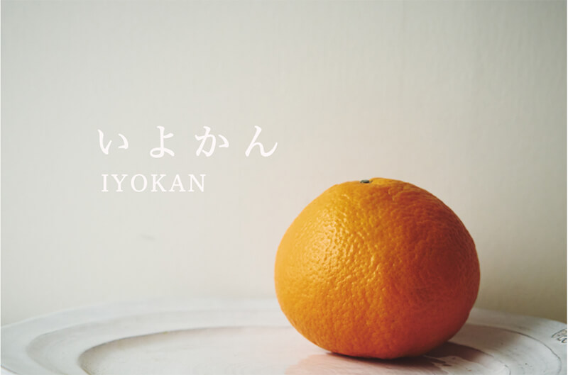 【ひとつ ひとつ】ネロリウォーター＆柑橘３種エッセンシャルオイル