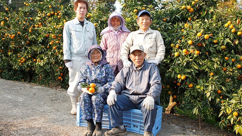 【ひとつ ひとつ】ネロリウォーター＆柑橘３種エッセンシャルオイル