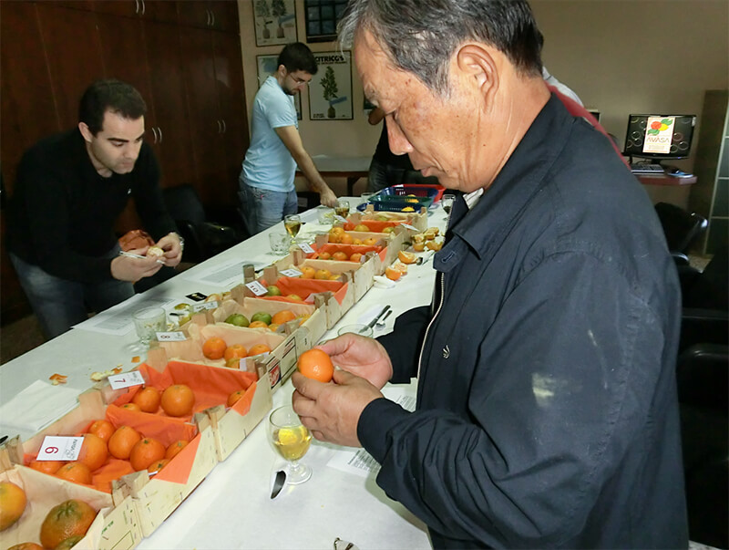 【ひとつ ひとつ】ネロリウォーター＆柑橘３種エッセンシャルオイル