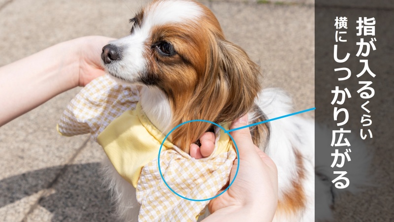 【福田手袋】ドッグウェア・お散歩手袋セット