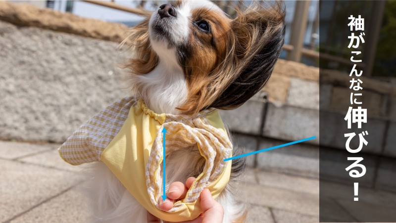 【福田手袋】ドッグウェア・お散歩手袋セット