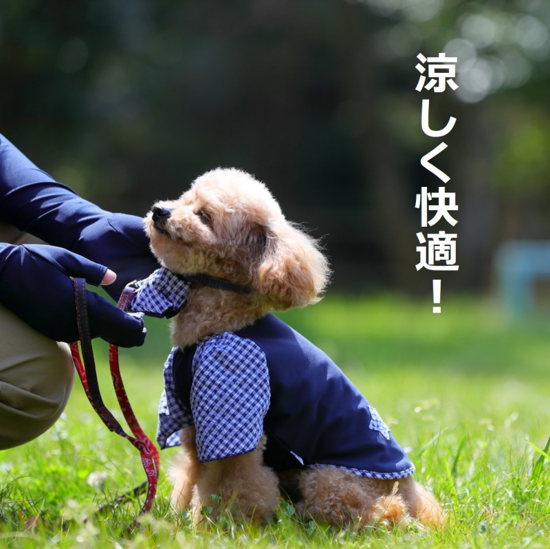 【福田手袋】ドッグウェア・お散歩手袋セット