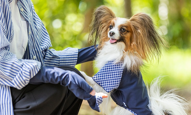 【福田手袋】ドッグウェア・お散歩手袋セット