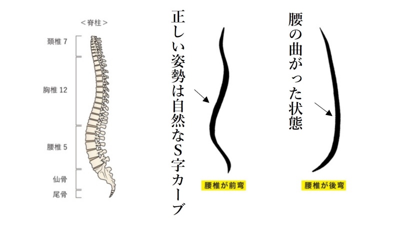 【KAKURA】床座-椅子