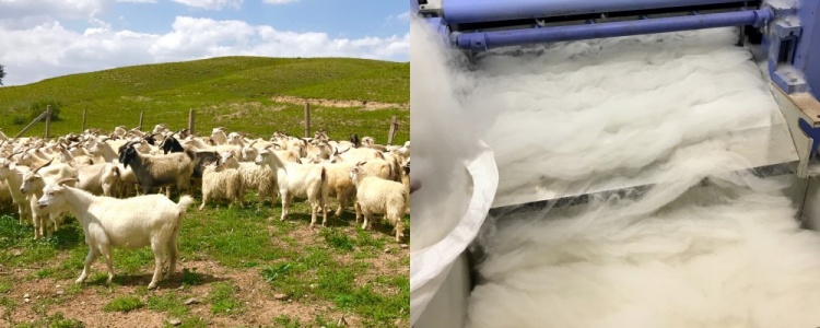 【el alto】カシミヤ100%フェアアイルセーター