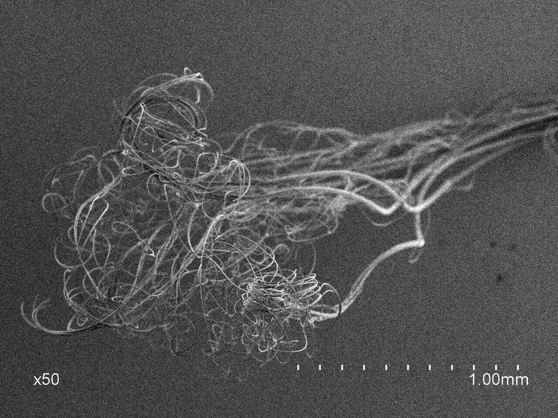 プロジェクトの背景