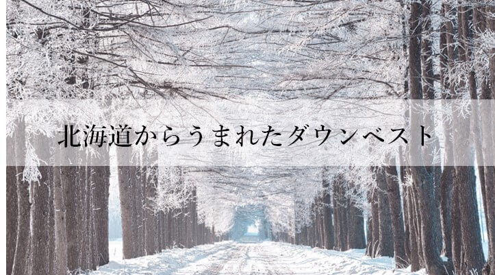 【CENTENA】北海道ダウンベスト