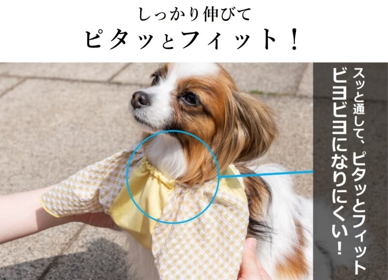 sample1