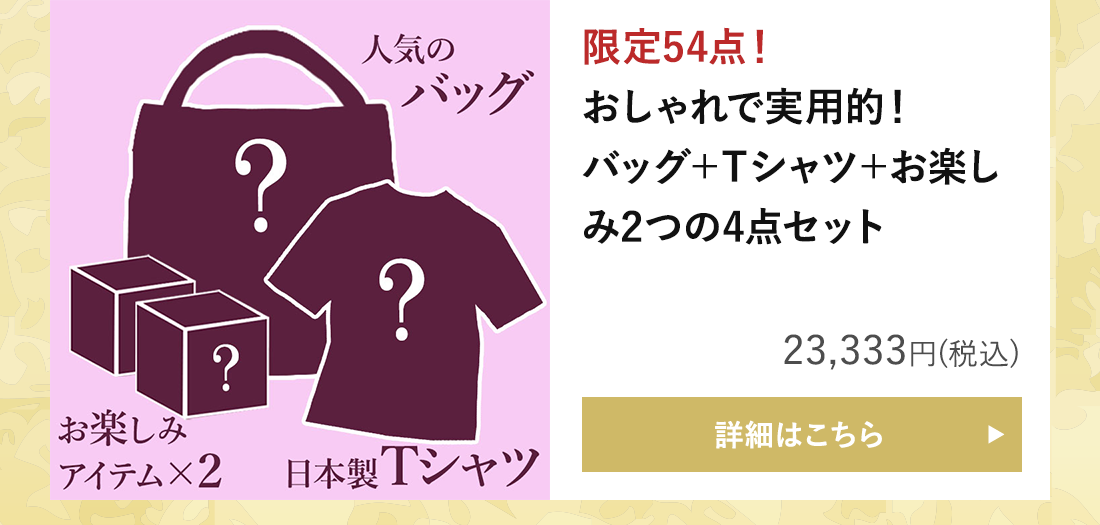 【運試しミステリーバッグ】おまけ付き！人気バッグ＆Tシャツセット 2024